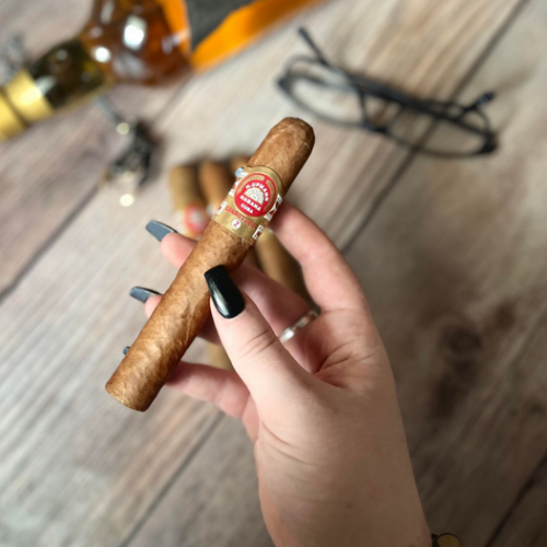 H. Upmann Connoisseur No. 2 Cigar - 1 Single